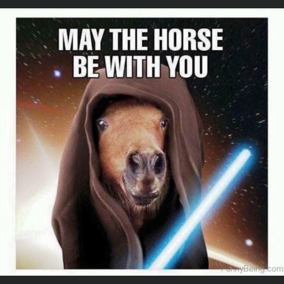 Meet your Posher, Lindsay B - Picture 11 of 15